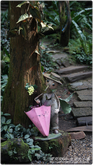 溪頭明山森林會館:【南投/鹿谷】明山森林會館~愛麗絲夢遊仙境