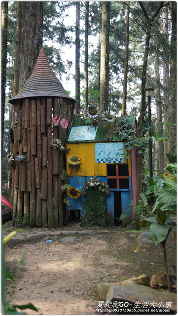 溪頭明山森林會館:【南投/鹿谷】明山森林會館~愛麗絲夢遊仙境