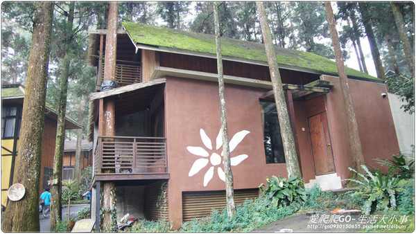 溪頭明山森林會館:【南投/鹿谷】明山森林會館~愛麗絲夢遊仙境