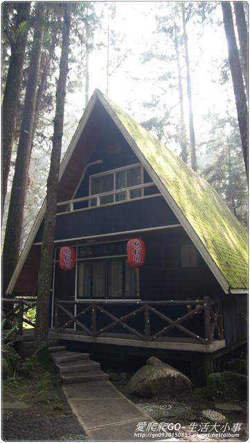 溪頭明山森林會館:【南投/鹿谷】明山森林會館~愛麗絲夢遊仙境