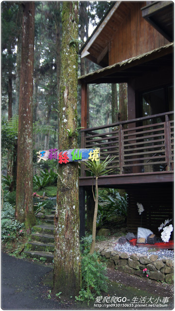 溪頭明山森林會館:【南投/鹿谷】明山森林會館~愛麗絲夢遊仙境