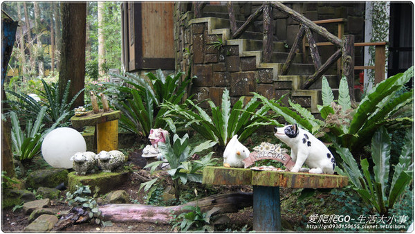 溪頭明山森林會館:【南投/鹿谷】明山森林會館~愛麗絲夢遊仙境