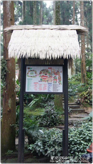 溪頭明山森林會館:【南投/鹿谷】明山森林會館~愛麗絲夢遊仙境