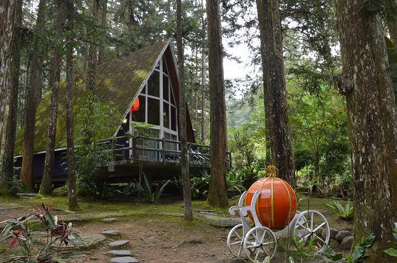 明山森林會館57