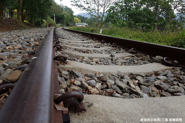 【苗栗/三義】龍騰斷橋