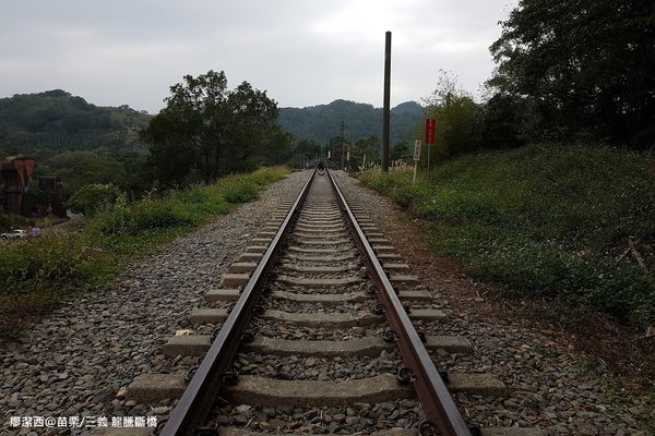 【苗栗/三義】龍騰斷橋