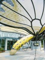 台中植物園:巨大温室體驗──自然科學博物館植物園