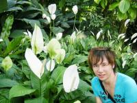 台中植物園:巨大温室體驗──自然科學博物館植物園