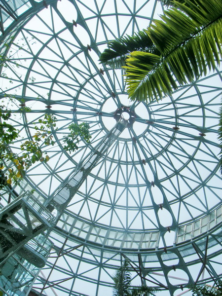 台中植物園:巨大温室體驗──自然科學博物館植物園