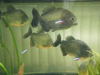 台中植物園:巨大温室體驗──自然科學博物館植物園