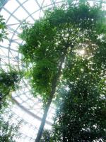 台中植物園:巨大温室體驗──自然科學博物館植物園