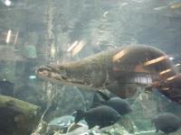 台中植物園:巨大温室體驗──自然科學博物館植物園