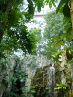 台中植物園:巨大温室體驗──自然科學博物館植物園