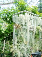 台中植物園:巨大温室體驗──自然科學博物館植物園