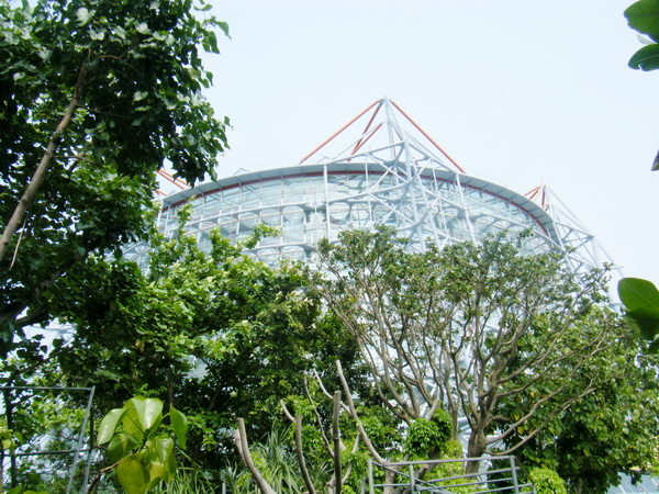台中植物園:巨大温室體驗──自然科學博物館植物園