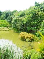 台中植物園:巨大温室體驗──自然科學博物館植物園