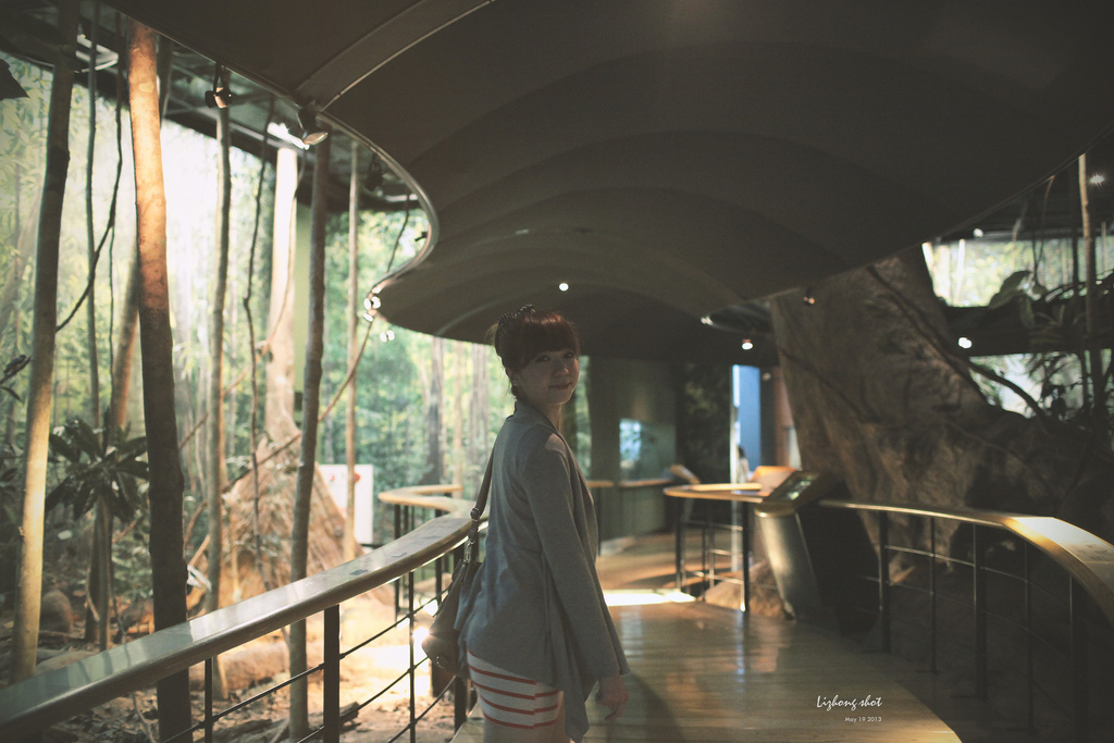 在混亂中喘息的台中週記2/2