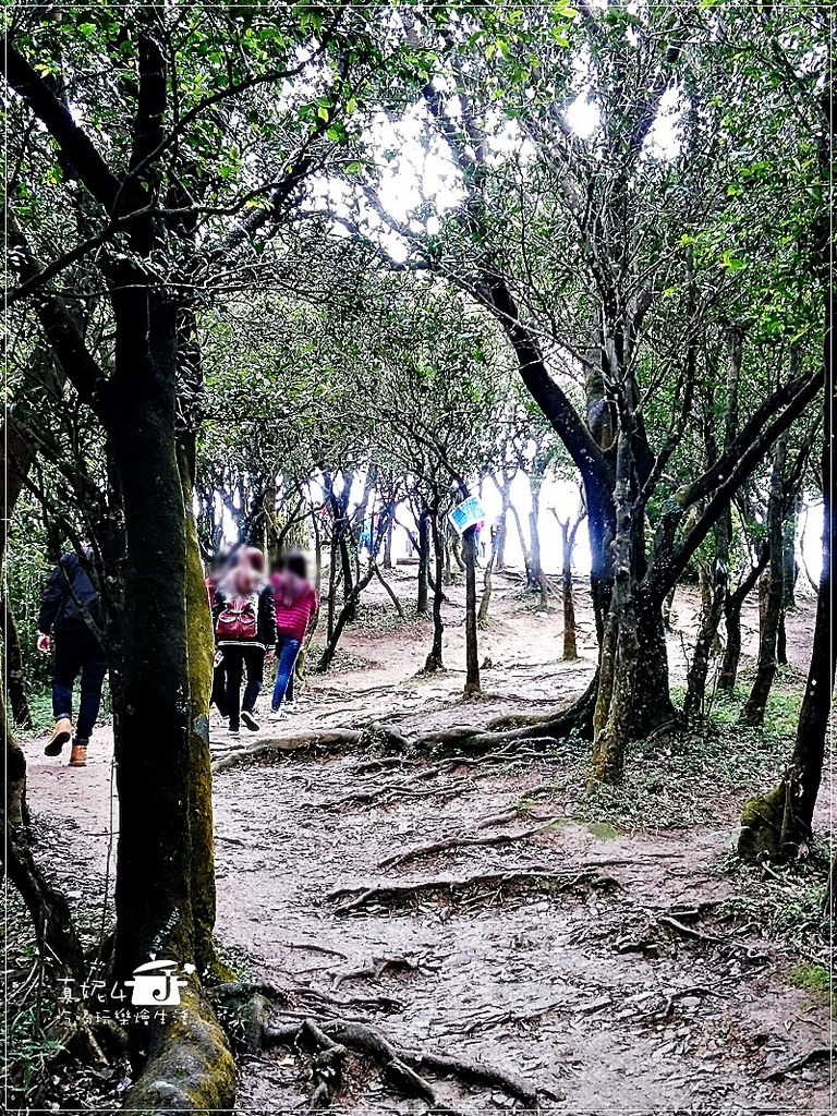 宜蘭大溪 鷹石尖