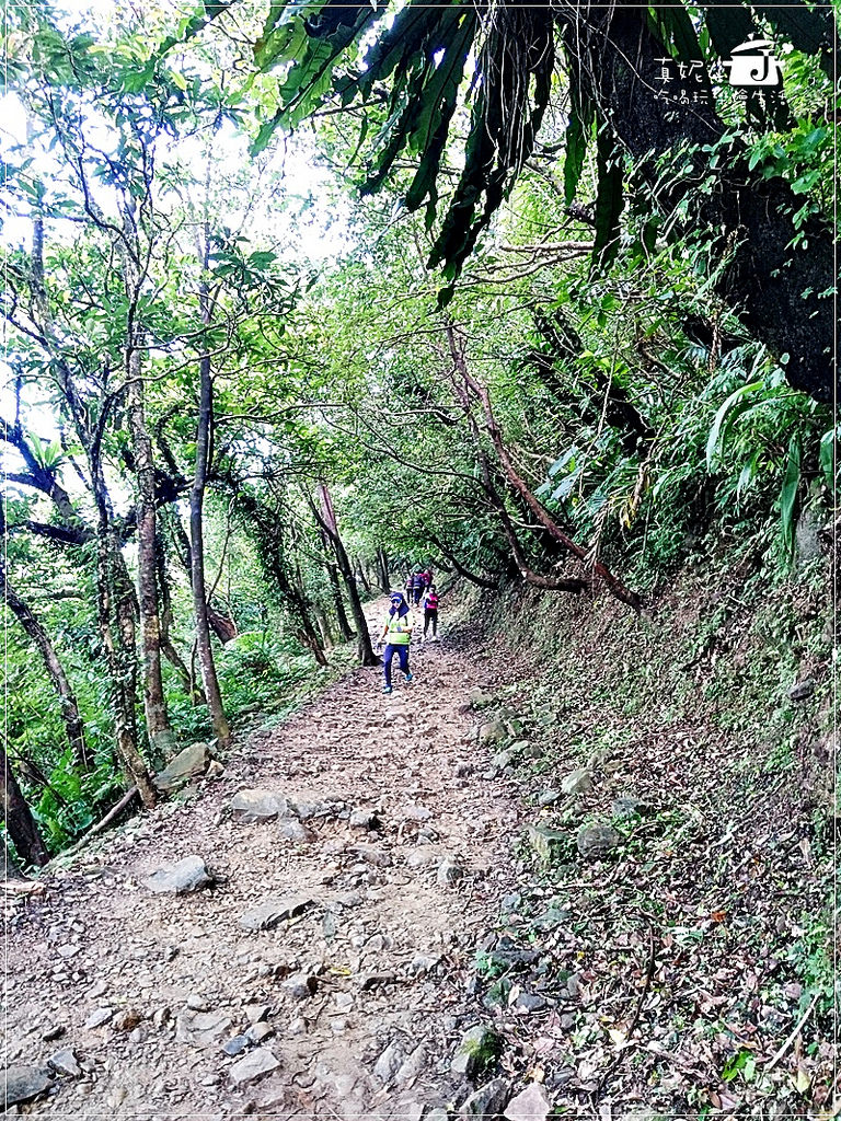 宜蘭大溪 鷹石尖