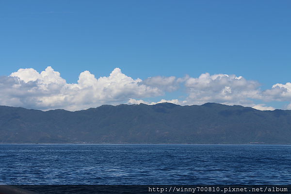 龜山島：宜蘭/頭城【龜山朝日號 賞鯨之旅】乘風破浪，賞鯨豚兼賞龜山島~