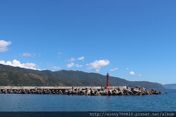 龜山島：宜蘭/頭城【龜山朝日號 賞鯨之旅】乘風破浪，賞鯨豚兼賞龜山島~