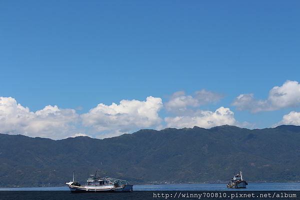 龜山島：宜蘭/頭城【龜山朝日號 賞鯨之旅】乘風破浪，賞鯨豚兼賞龜山島~