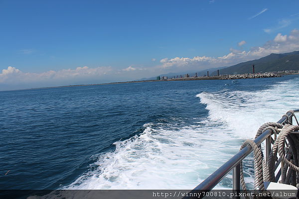 龜山島：宜蘭/頭城【龜山朝日號 賞鯨之旅】乘風破浪，賞鯨豚兼賞龜山島~