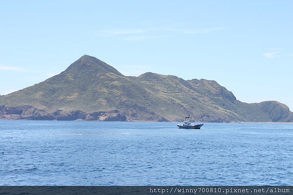 龜山島：宜蘭/頭城【龜山朝日號 賞鯨之旅】乘風破浪，賞鯨豚兼賞龜山島~