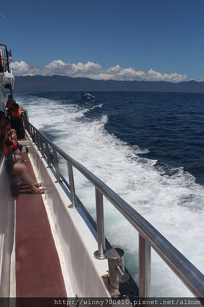龜山島：宜蘭/頭城【龜山朝日號 賞鯨之旅】乘風破浪，賞鯨豚兼賞龜山島~