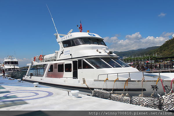 龜山島：宜蘭/頭城【龜山朝日號 賞鯨之旅】乘風破浪，賞鯨豚兼賞龜山島~