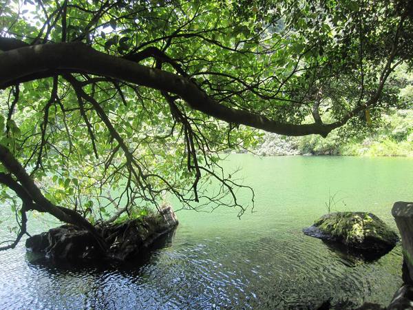 龜山島：龜山島．盛夏