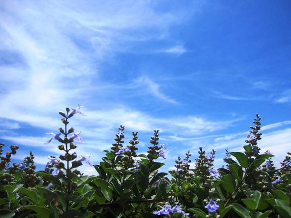 龜山島：龜山島．盛夏