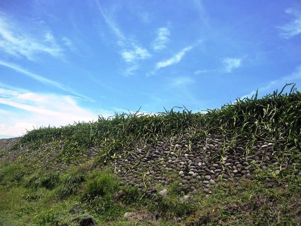 龜山島：龜山島．盛夏
