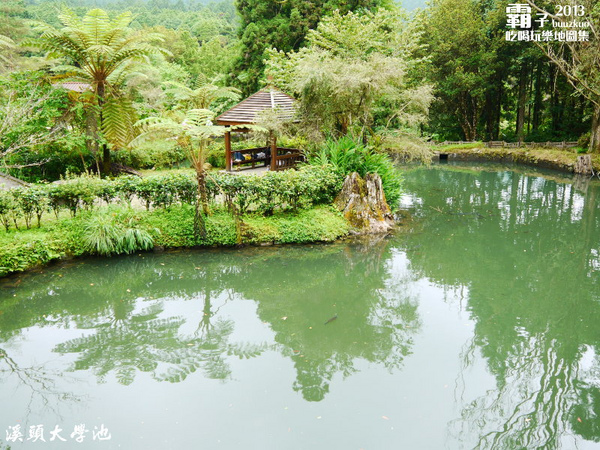 溪頭自然教育園區:溪頭自然教育園區,空中走廊穿梭林木之中!