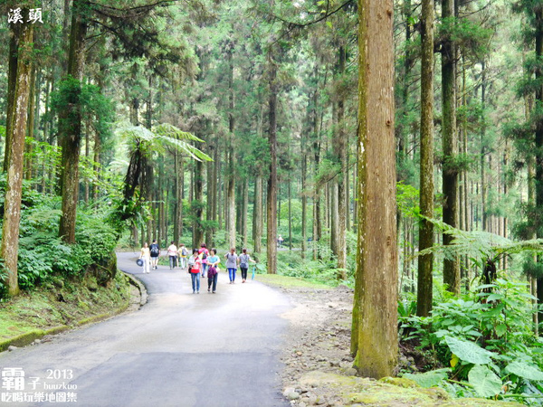 溪頭自然教育園區:溪頭自然教育園區,空中走廊穿梭林木之中!