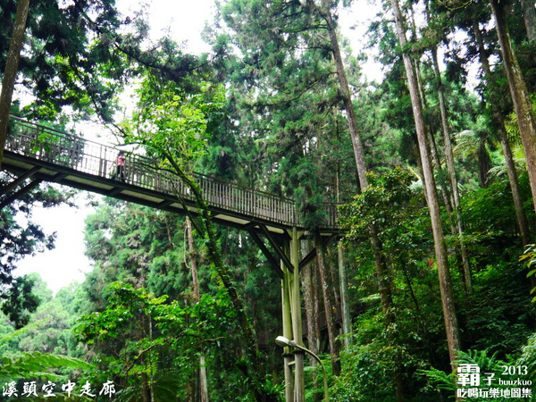 溪頭自然教育園區:溪頭自然教育園區,空中走廊穿梭林木之中!