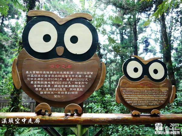 溪頭自然教育園區:溪頭自然教育園區,空中走廊穿梭林木之中!