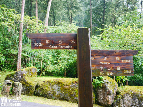 溪頭自然教育園區:溪頭自然教育園區,空中走廊穿梭林木之中!