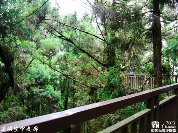 溪頭自然教育園區:溪頭自然教育園區,空中走廊穿梭林木之中!