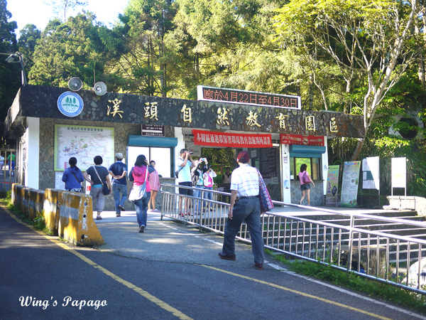 溪頭自然教育園區:來享受森林芬多精吧!溪頭自然教育園區