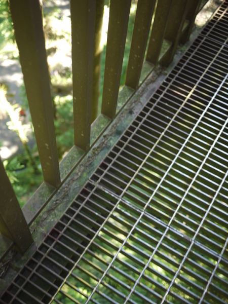 溪頭自然教育園區:來享受森林芬多精吧!溪頭自然教育園區