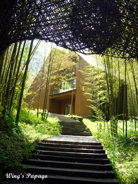 溪頭自然教育園區:來享受森林芬多精吧!溪頭自然教育園區