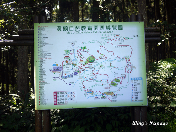 溪頭自然教育園區:來享受森林芬多精吧!溪頭自然教育園區