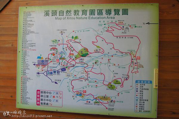 溪頭森林遊樂區