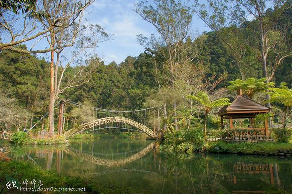 溪頭森林遊樂區