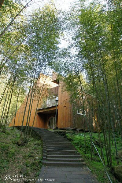 溪頭森林遊樂區