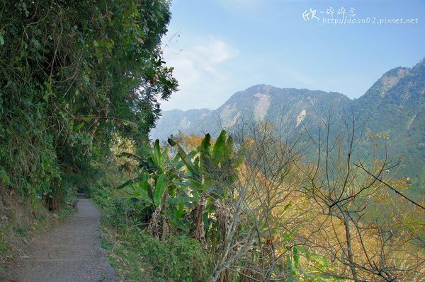 溪頭森林遊樂區