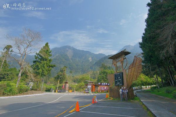 溪頭森林遊樂區