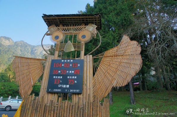 溪頭森林遊樂區