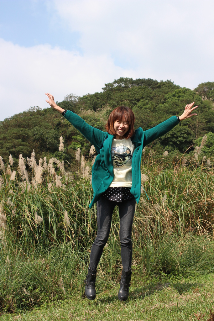 陽明山一日遊  擎天崗 芒花盛開 陽明山一片金黃花海  秋芒之旅